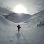 Der Sonne entgegen (zum Vergrößern klicken)